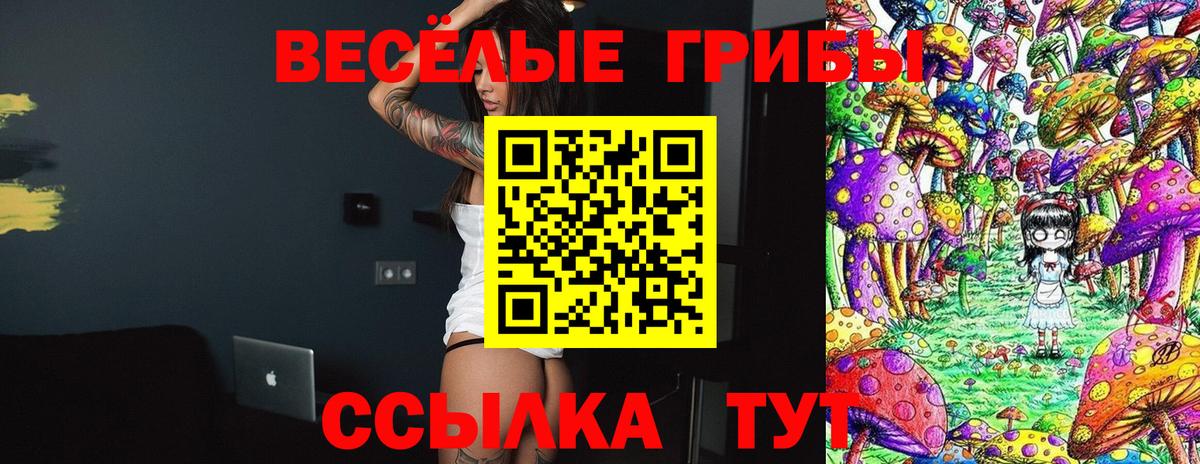 цена   Вход с VPN  Псилоцибиновые грибы MAGIC MUSHROOMS  Серов  Псилоцибиновые грибы мухоморы 
