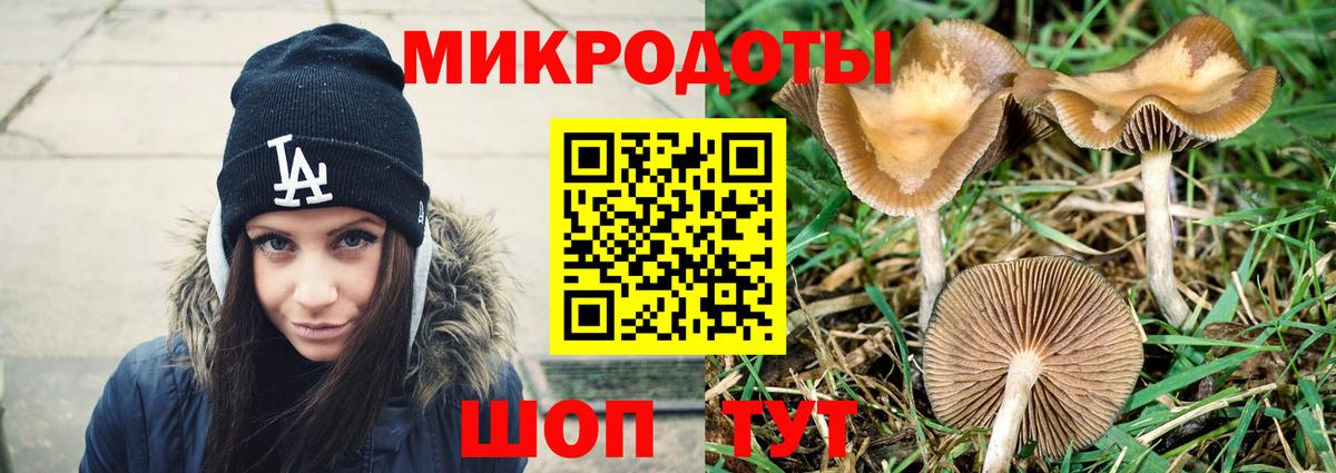 Псилоцибиновые грибы прущие грибы Серов